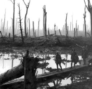 Der Chateauwald bei Ypern besteht nach intensiven Artilleriebombardements nur noch aus Baumstümpfen (1917). Foto: Wikipedia