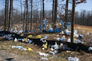 Plastiktüten-Verchmutzung in einem Waldstück. Foto: Shutterstock