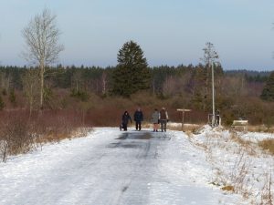 Für Wanderer war das Wetter am Neujahrstag ideal, aber die Wege ziemlich glatt. Foto: OD