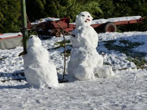 Dank der niedrigeren Temperaturen konnten diese beiden Schneemänner auf Ternell einigmaßen Haltung bewahren. Foto: OD