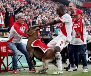 Kölns Torschütze Anthony Ujah und sein verrückter Torjubel mit Geißbock Hennes. Foto: dpa