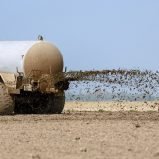 Mauel (PFF/MR): „Regeln für die Gülleausbringung müssen sich endlich an den Realitäten orientieren“