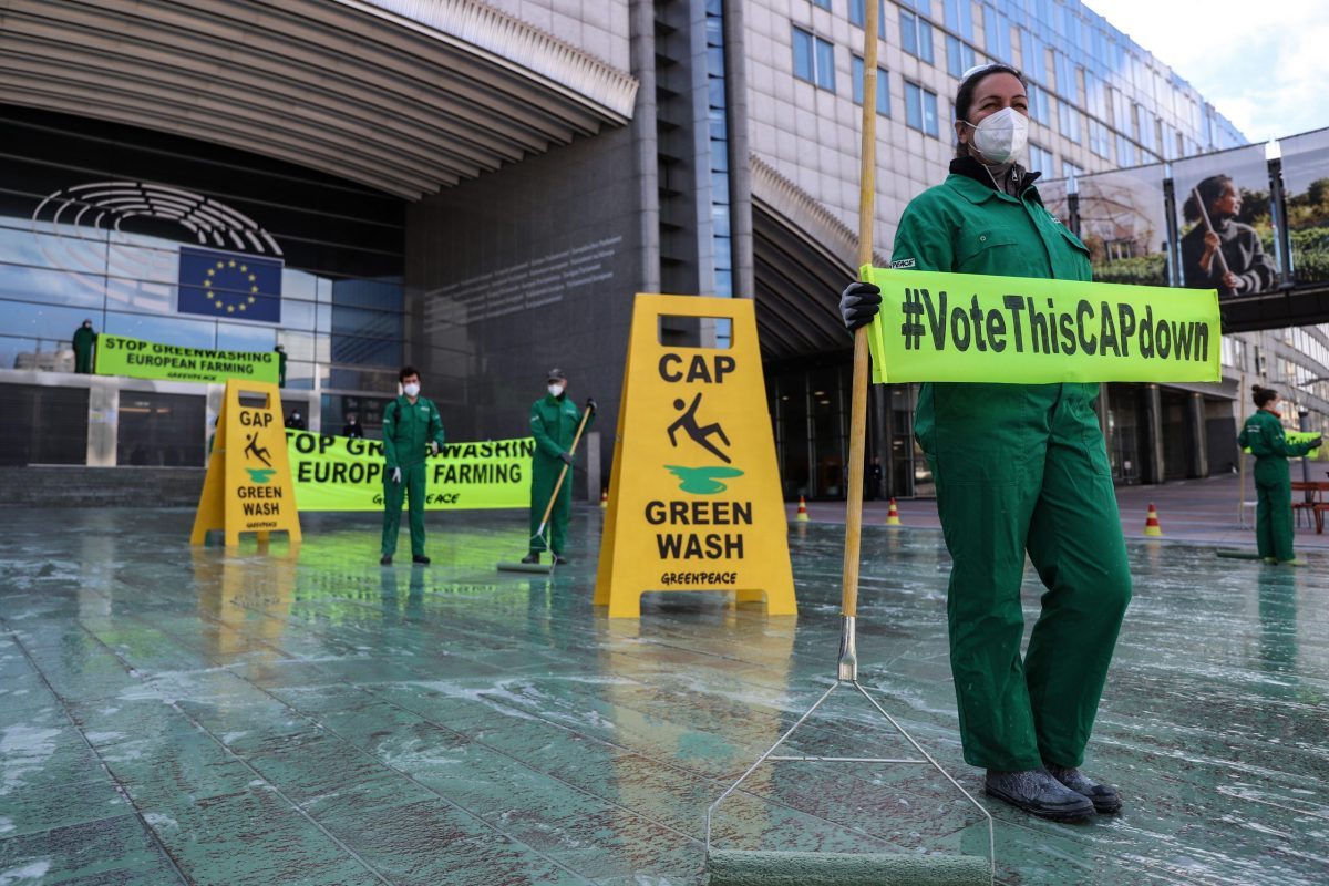 Greenpeace-Aktion gegen die EU-Agrarreform: Grüne Farbe soll