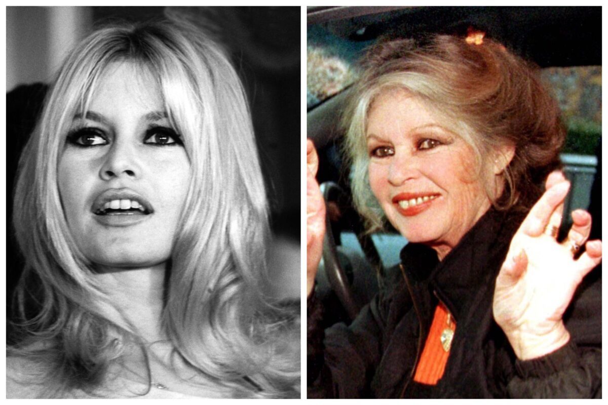 Ikone des französischen Kinos, Sex-Symbol und Tierschützerin: Brigitte  Bardot ist 90 Jahre alt - Ostbelgien Direkt