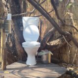 Welttoilettentag: Vom Donnerbalken zum Luxus-Klo