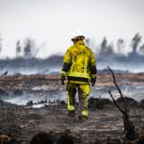 Nach dem Feuer: Wie lange braucht das Hohe Venn zur Erholung? Laut Experten Jahre bis Jahrzehnte